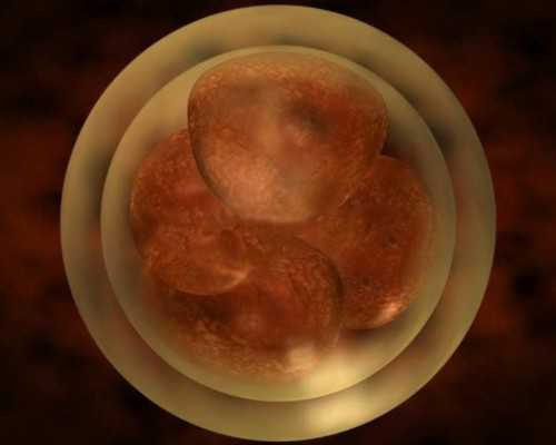 卵巢发育不全有哪些常见症状？卵巢发育不良的症状？