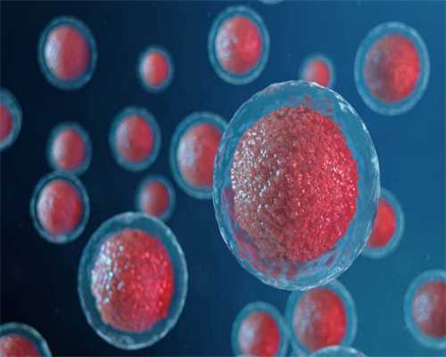 一侧卵巢没有发现卵泡~供卵代生那家好